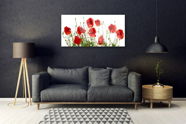 Quadro in vetro Papaveri Pianta Naturale 100x50 cm 2 appendini