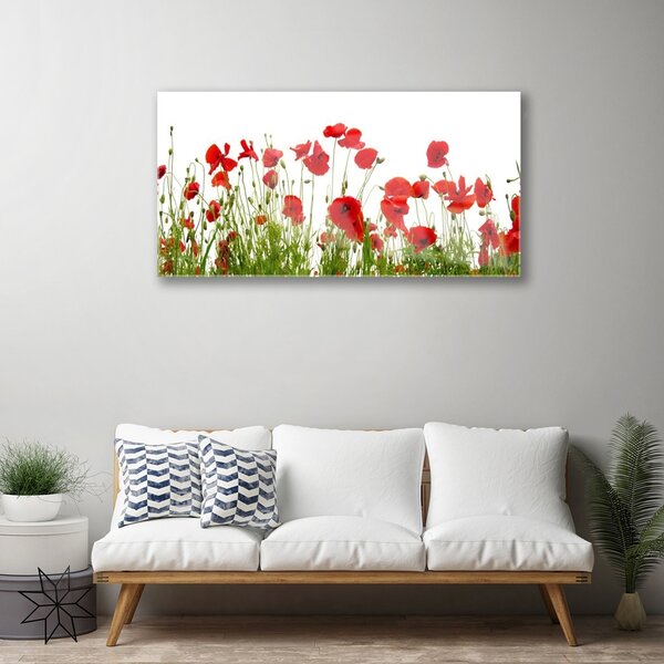Quadro di vetro Papaveri Pianta Naturale 100x50 cm 2 appendini