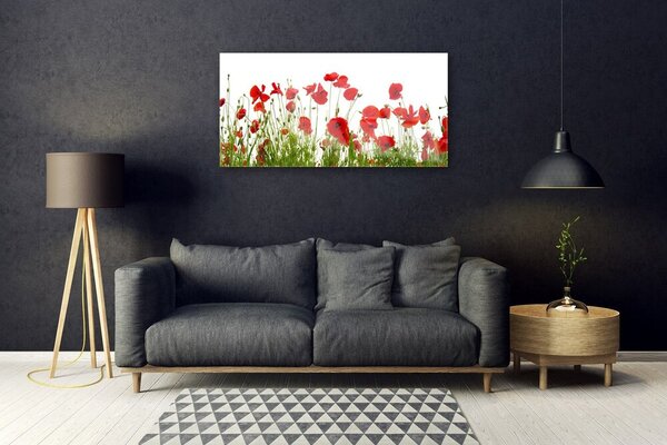 Quadro di vetro Papaveri Pianta Naturale 100x50 cm 2 appendini