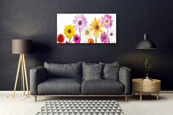 Quadro di vetro Fiori colorati della natura 100x50 cm 2 appendini