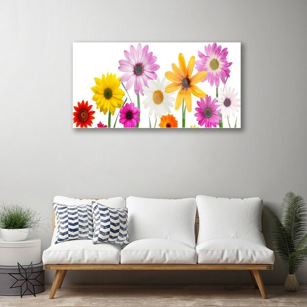 Quadro di vetro Fiori colorati della natura 100x50 cm 2 appendini