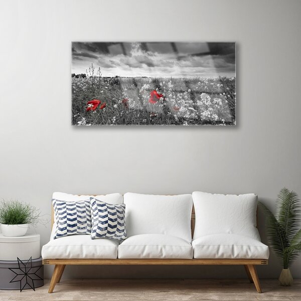Quadro in vetro Prato Fiori Paesaggio 100x50 cm 2 appendini