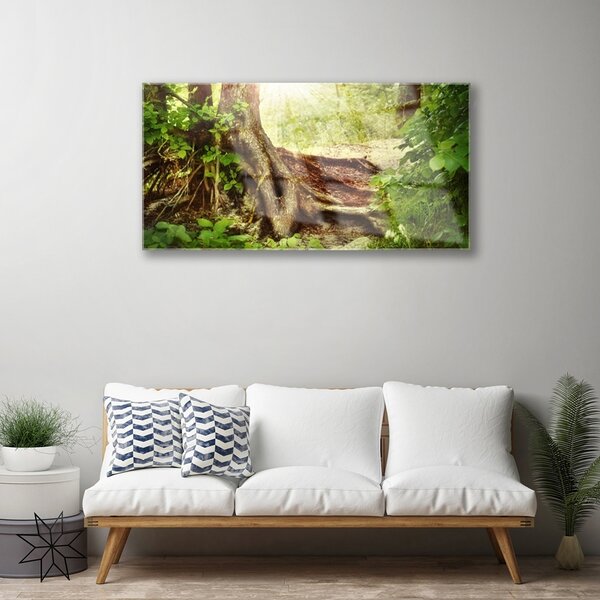 Quadro di vetro Tronco d'albero Foresta naturale 100x50 cm 2 appendini