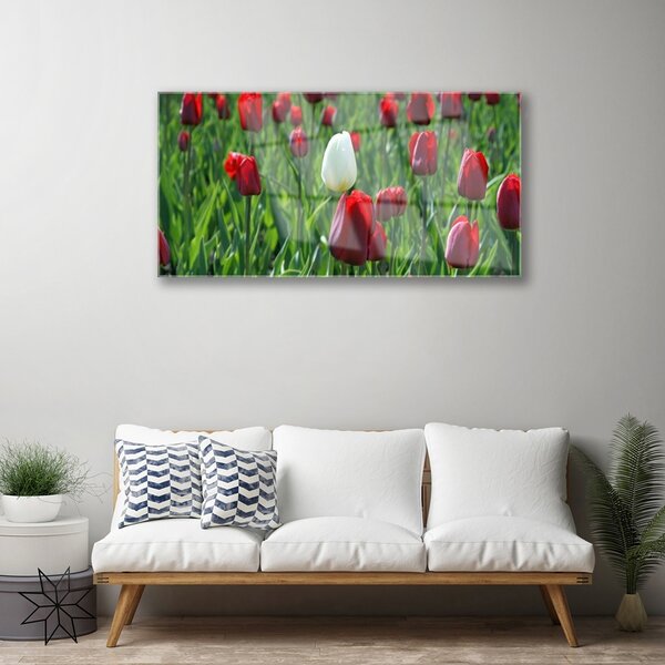 Quadro vetro Tulipani Fiori della natura 100x50 cm 2 appendini