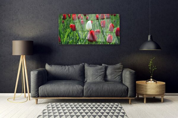 Quadro vetro Tulipani Fiori della natura 100x50 cm 2 appendini