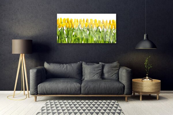 Quadro in vetro Tulipani Fiori della natura 100x50 cm 2 appendini