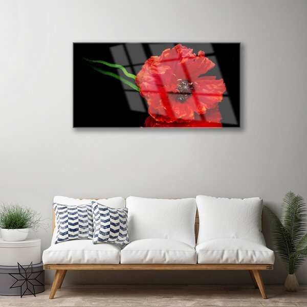 Quadro vetro Fiore di papavero Pianta naturale 100x50 cm 2 appendini