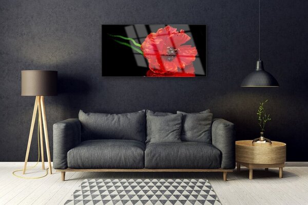 Quadro vetro Fiore di papavero Pianta naturale 100x50 cm 2 appendini