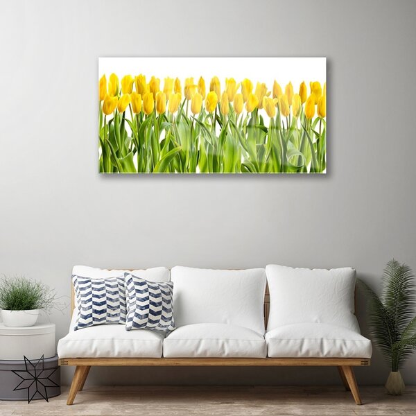 Quadro in vetro Tulipani Fiori della natura 100x50 cm 2 appendini