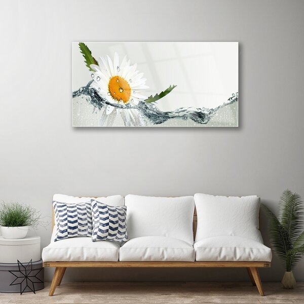 Quadro su vetro Margherita in acqua Pianta 100x50 cm 2 appendini