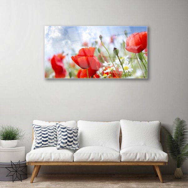 Quadro su vetro Margherite papaveri Fiori 100x50 cm 2 appendini