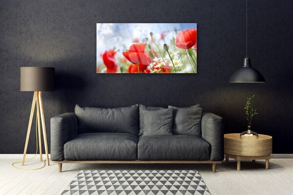 Quadro su vetro Margherite papaveri Fiori 100x50 cm 2 appendini