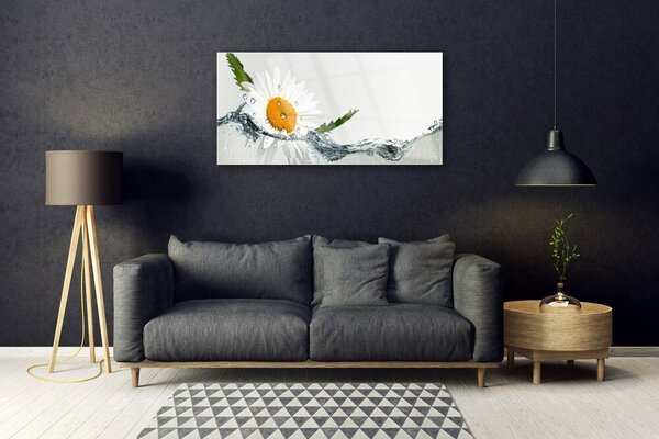 Quadro su vetro Margherita in acqua Pianta 100x50 cm 2 appendini
