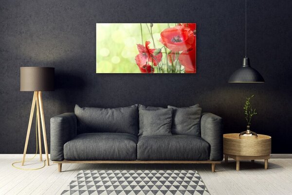 Quadro in vetro Papaveri Pianta Naturale 100x50 cm 2 appendini