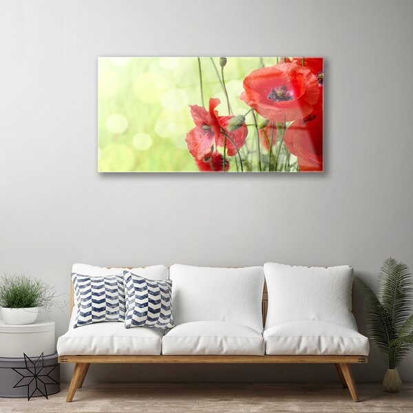 Quadro in vetro Papaveri Pianta Naturale 100x50 cm 2 appendini