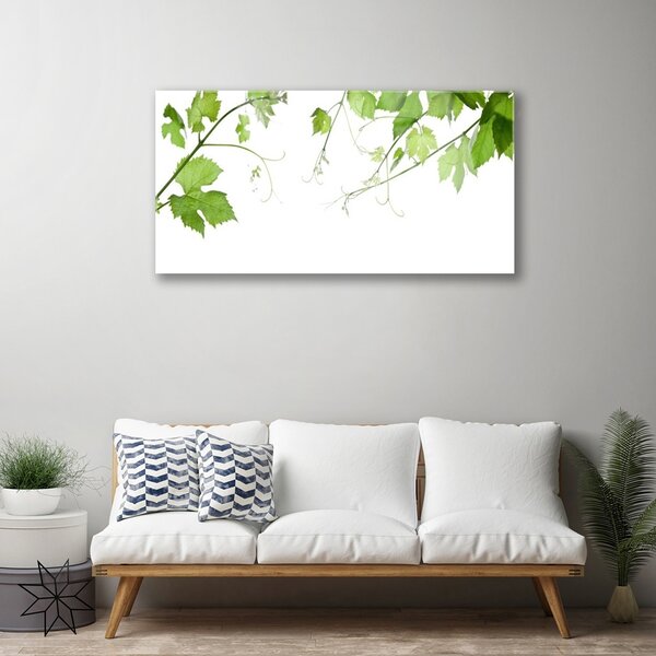 Quadro su vetro Rami Foglie Natura Fiori 100x50 cm 2 appendini