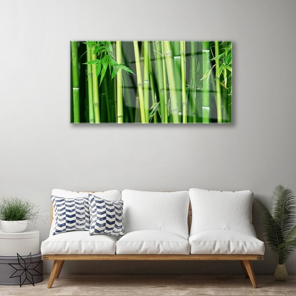 Quadro di vetro Foresta di bambù Natura bambù 100x50 cm 2 appendini