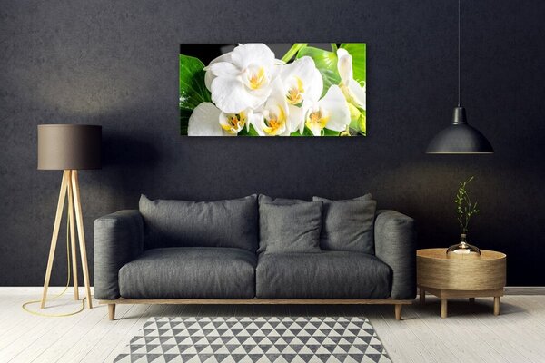 Quadro in vetro Orchidea Fiori della natura 100x50 cm 2 appendini