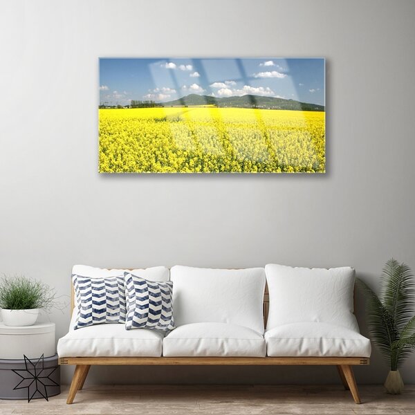 Quadro vetro Campo Prato Natura Ratto 100x50 cm 2 appendini