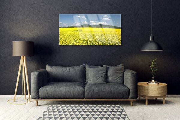 Quadro vetro Campo Prato Natura Ratto 100x50 cm 2 appendini
