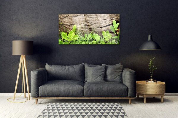 Quadro in vetro Foglie d'erba Fiori 100x50 cm 2 appendini