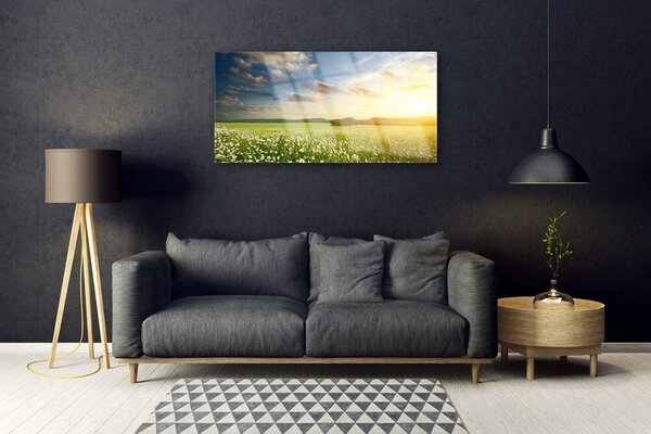 Quadro vetro Prato Fiori Paesaggio 100x50 cm 2 appendini