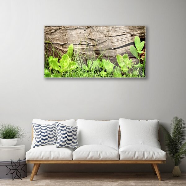 Quadro in vetro Foglie d'erba Fiori 100x50 cm 2 appendini
