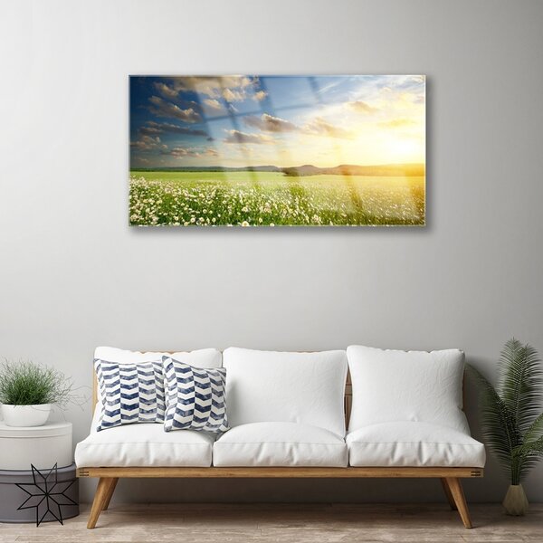 Quadro vetro Prato Fiori Paesaggio 100x50 cm 2 appendini