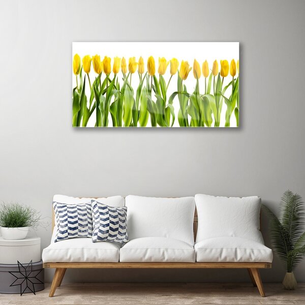 Quadro vetro Tulipani Fiori della natura 100x50 cm 2 appendini