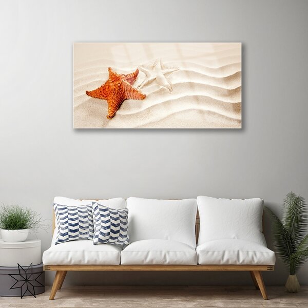 Quadro vetro Stella marina sulla spiaggia di sabbia 100x50 cm 2 appendini