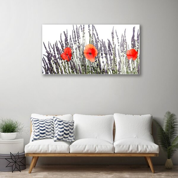 Quadro in vetro Fiori Papaveri Campo di erba 100x50 cm 2 appendini