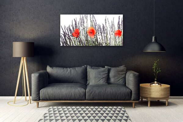 Quadro in vetro Fiori Papaveri Campo di erba 100x50 cm 2 appendini