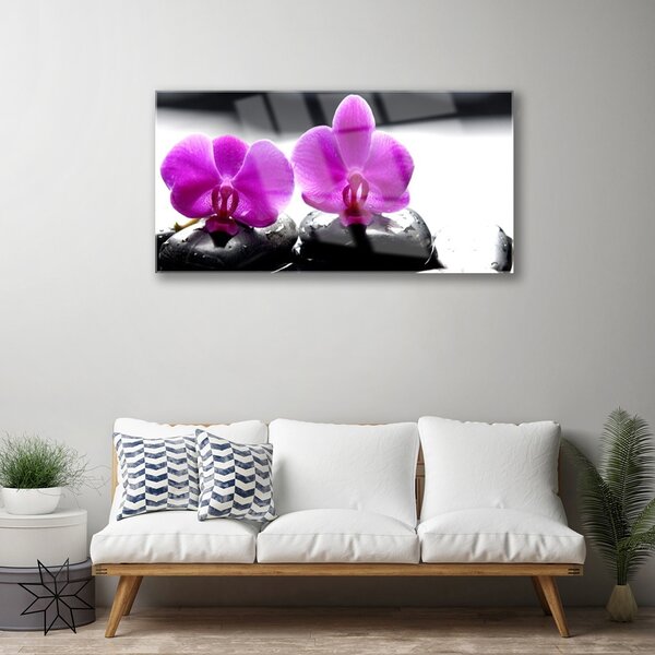 Quadro su vetro Fiori Orchidea Natura 100x50 cm 2 appendini