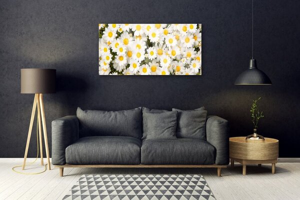 Quadro su vetro Fiori di margherita 100x50 cm 2 appendini