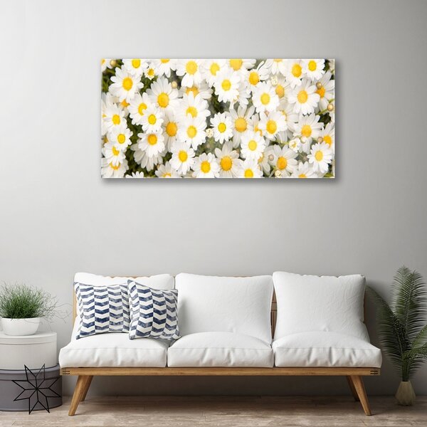 Quadro su vetro Fiori di margherita 100x50 cm 2 appendini