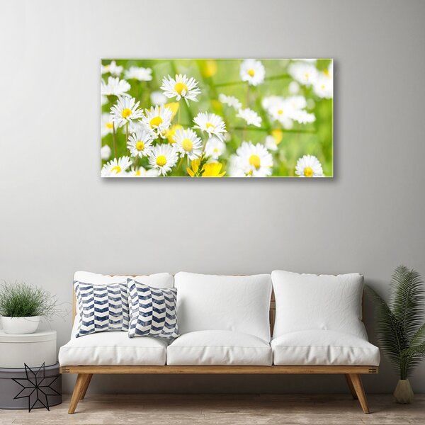 Quadro in vetro Pianta di fiori di margherita 100x50 cm 2 appendini