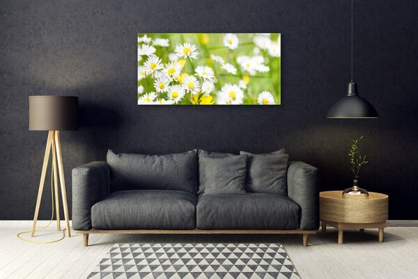 Quadro in vetro Pianta di fiori di margherita 100x50 cm 2 appendini