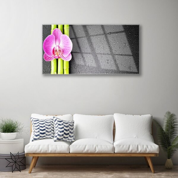 Quadro vetro Fiori di orchidea di bambù 100x50 cm 2 appendini