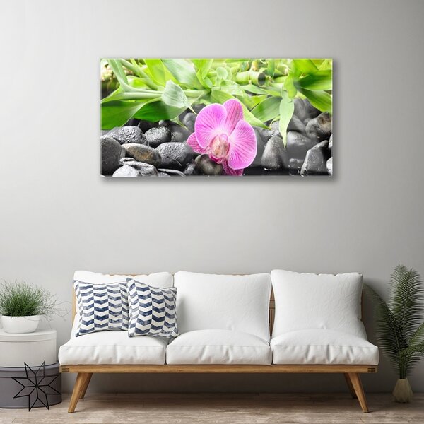 Quadro vetro Fiori Pianta di orchidea 100x50 cm 2 appendini