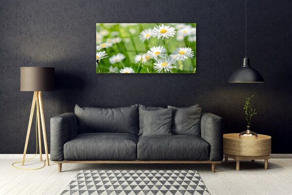 Quadro vetro Pianta di fiori di margherita 100x50 cm 2 appendini