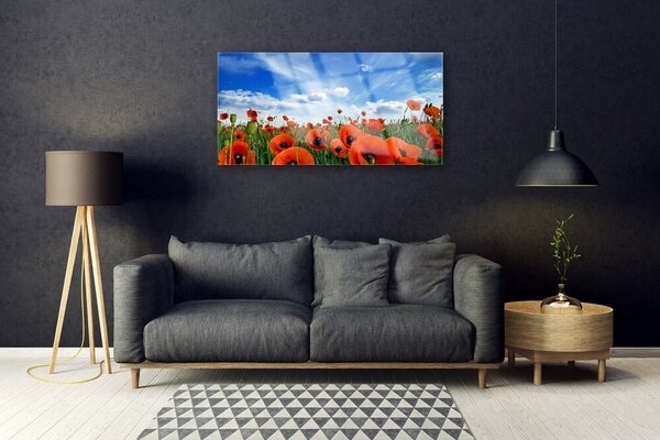 Quadro in vetro Fiori di papaveri da prato 100x50 cm 2 appendini