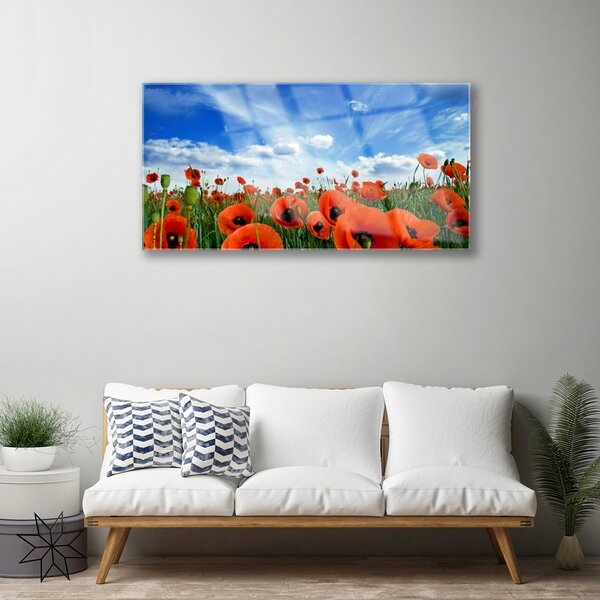 Quadro in vetro Fiori di papaveri da prato 100x50 cm 2 appendini