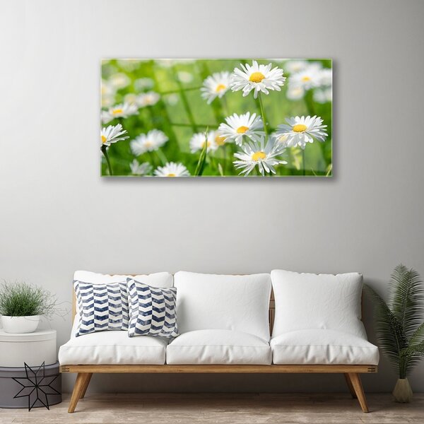Quadro vetro Pianta di fiori di margherita 100x50 cm 2 appendini