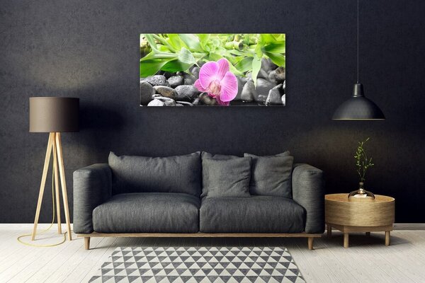 Quadro vetro Fiori Pianta di orchidea 100x50 cm 2 appendini