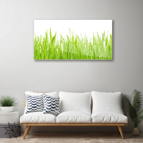 Quadro in vetro Erba Natura Pianta 100x50 cm 2 appendini