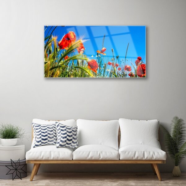 Quadro in vetro Fiori Papaveri Campo di erba 100x50 cm 2 appendini