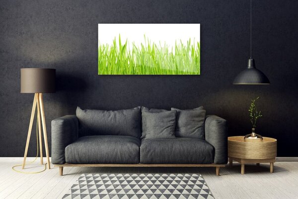 Quadro in vetro Erba Natura Pianta 100x50 cm 2 appendini