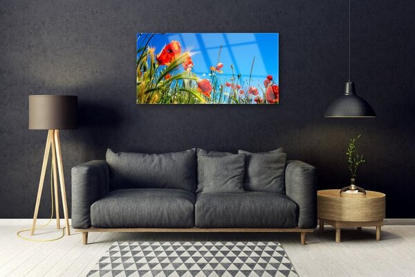 Quadro in vetro Fiori Papaveri Campo di erba 100x50 cm 2 appendini
