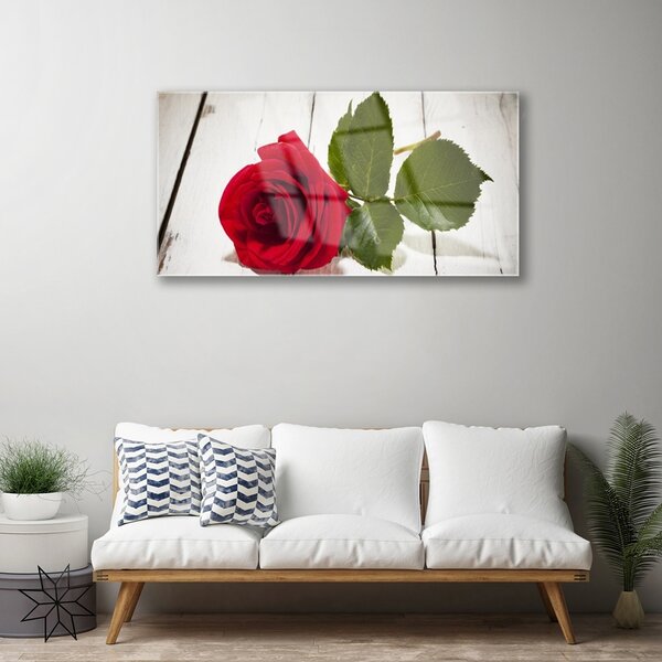 Quadro su vetro Fiore di rosa pianta naturale 100x50 cm 2 appendini