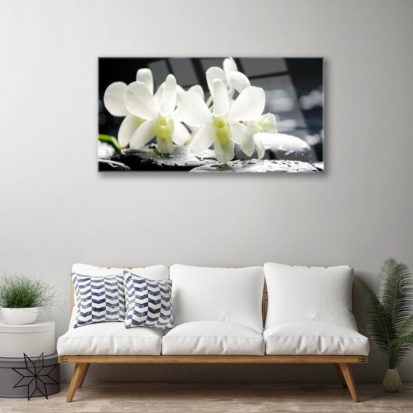Quadro di vetro Pietre Fiori Orchidea 100x50 cm 2 appendini